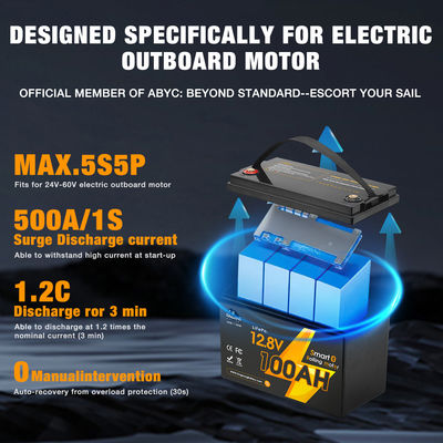 Специализированный аккумулятор Lifepo4 12V 24V 36V 48V 60V Литий-ионный аккумулятор для катера