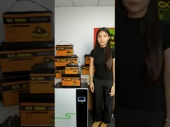 12V 48V 120Ah 150Ah 170Ah 200Ah 300Ah LiFePO4 Литий-ионные батареи для подводных лодок